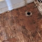Sub floor after removal of vinyl before removal to joists.