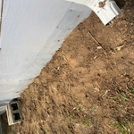 Pest Control/Exterminating Project