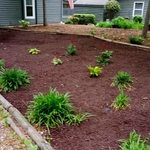 Landscaping Project