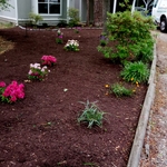 Landscaping Project