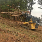 Land clearing, Tree work