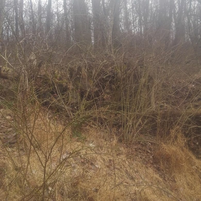 Additional Photos