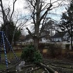 Landscaping Project