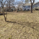 Tree Service Project