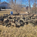Tree Service Project