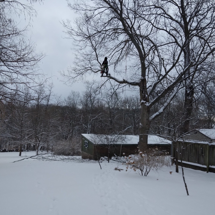 Additional Photos