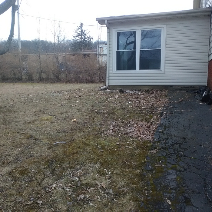 Additional Photos