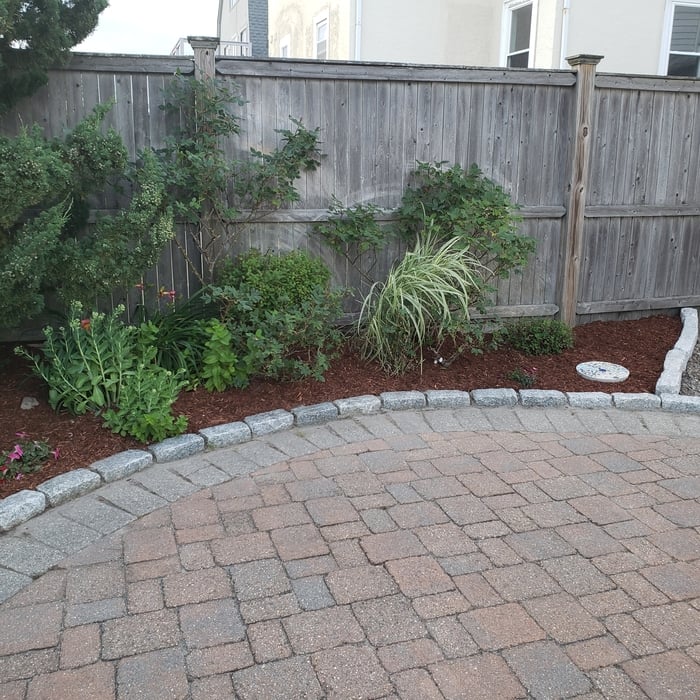 Additional Photos