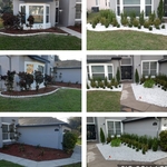 Landscape Design
