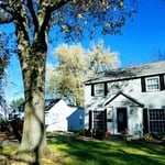Tree Trimming