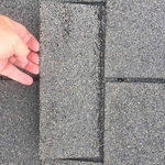 Damaged Shingles