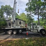 Tree Trimming and Removal