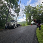 Tree Trimming and Removal