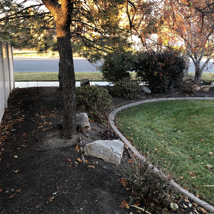 Additional Photos