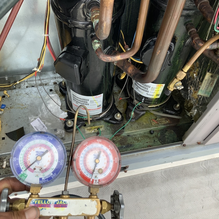 Additional Photos