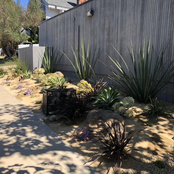 Additional Photos