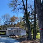 Tree Service Project