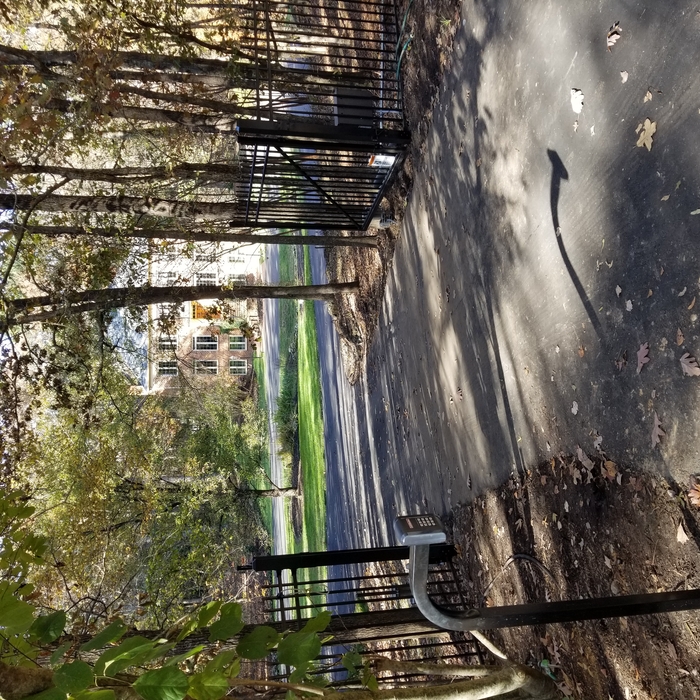 Additional Photos