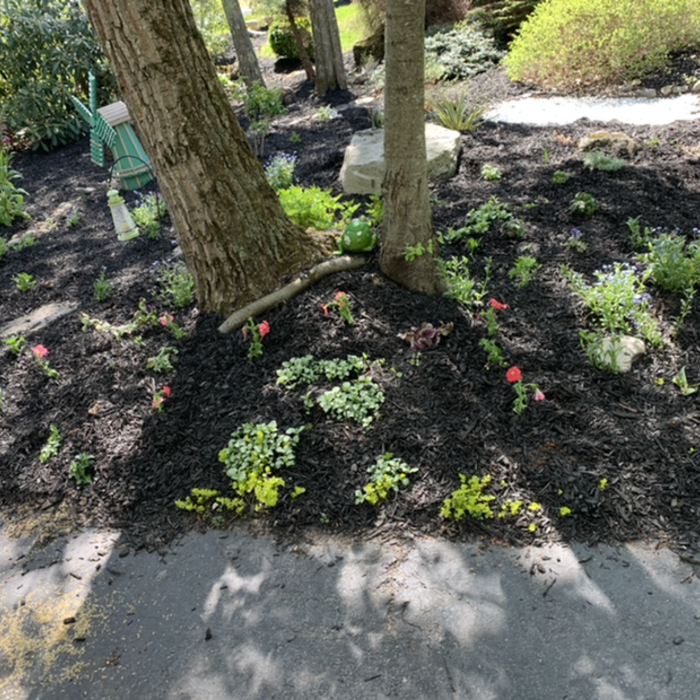 Additional Photos