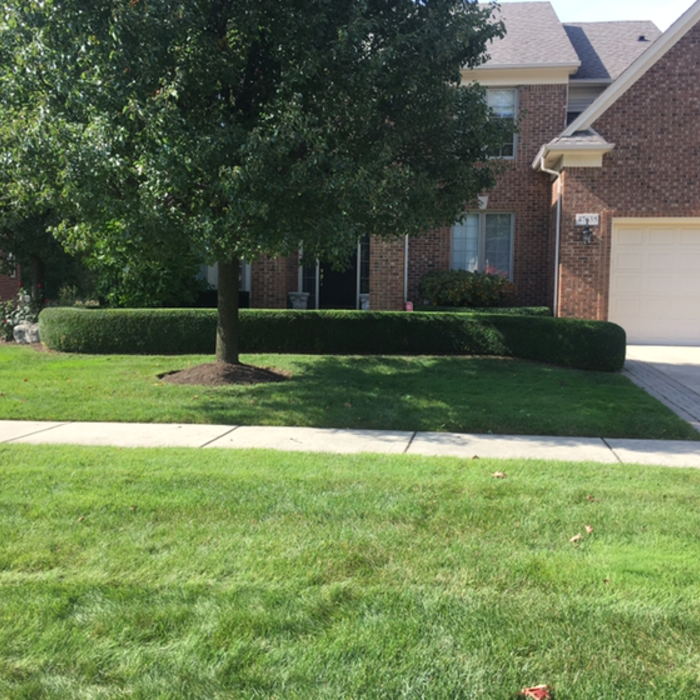 Additional Photos