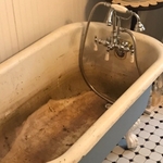 Claw foot tub
