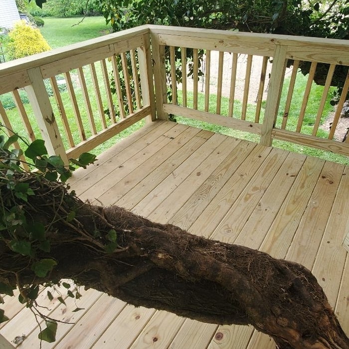 Additional Photos