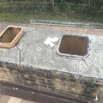 Raccoons In Chimney