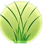 Top Seed Landscaping