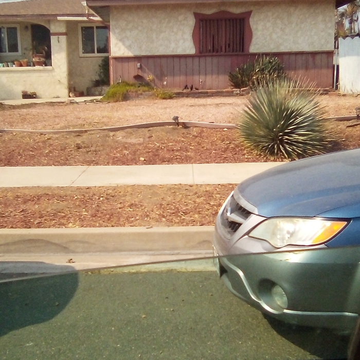 Additional Photos