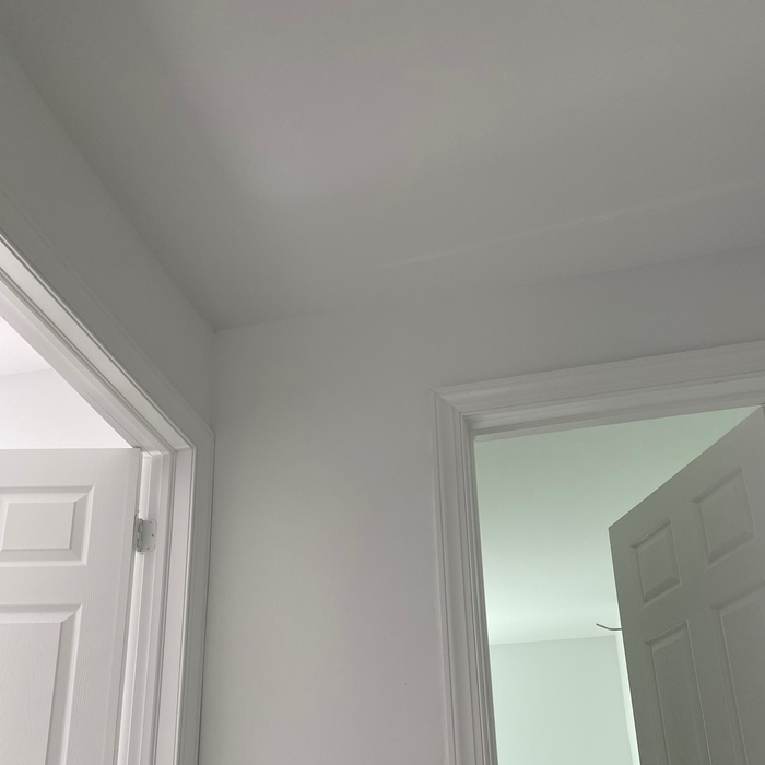 Paint interior
Trim
Doors