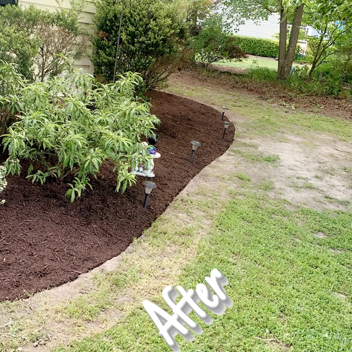 Additional Photos