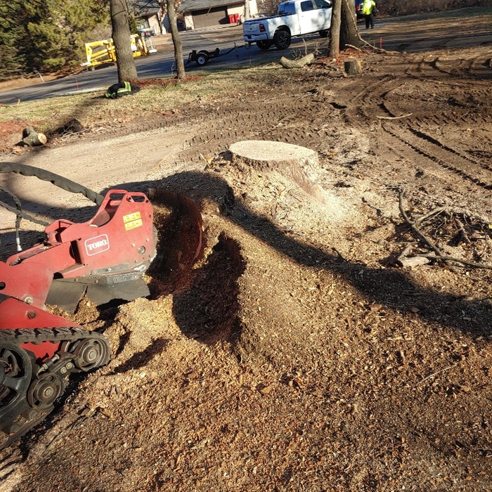 Additional Photos