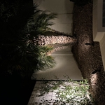 Landscaping - Hardscaping & Pavers Project