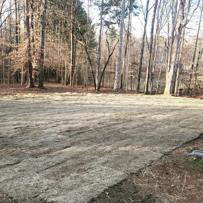 Sod installed