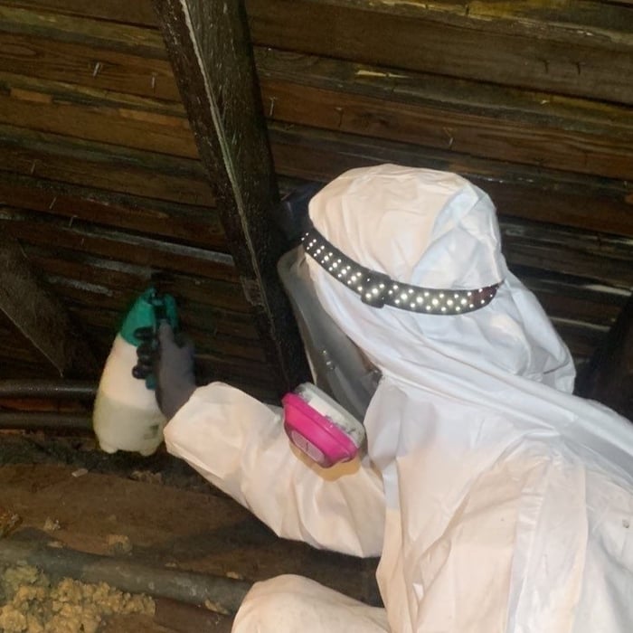 Mold remediation