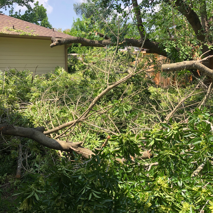 Additional Photos