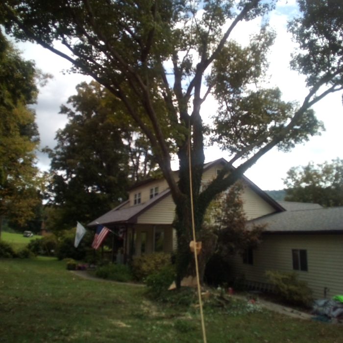 Additional Photos