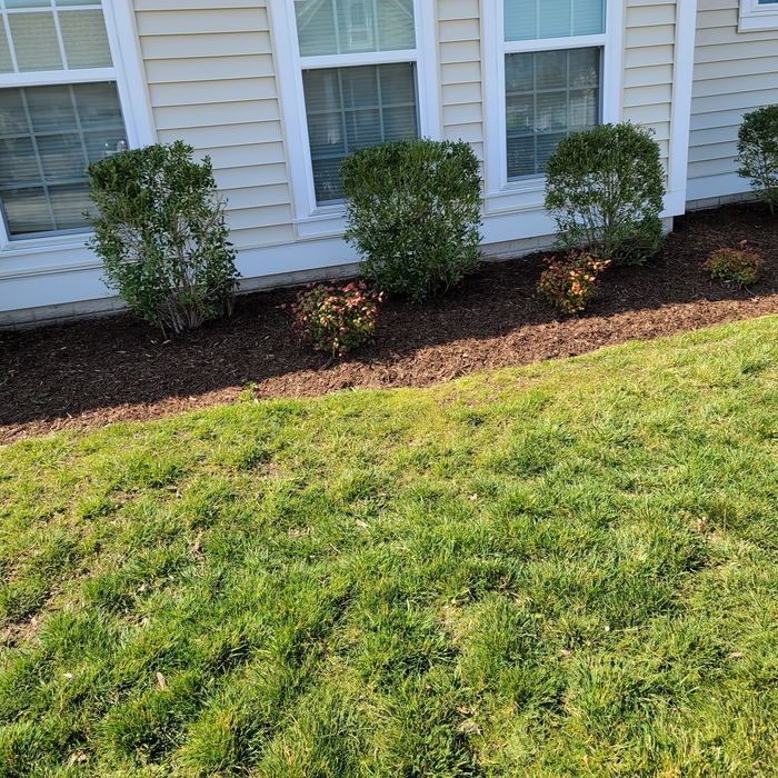 Additional Photos