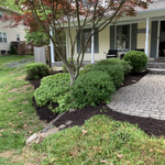 Additional Photos