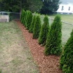 Privacy Trees