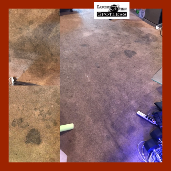 Additional Photos