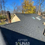 Sylvania Residential Reroof