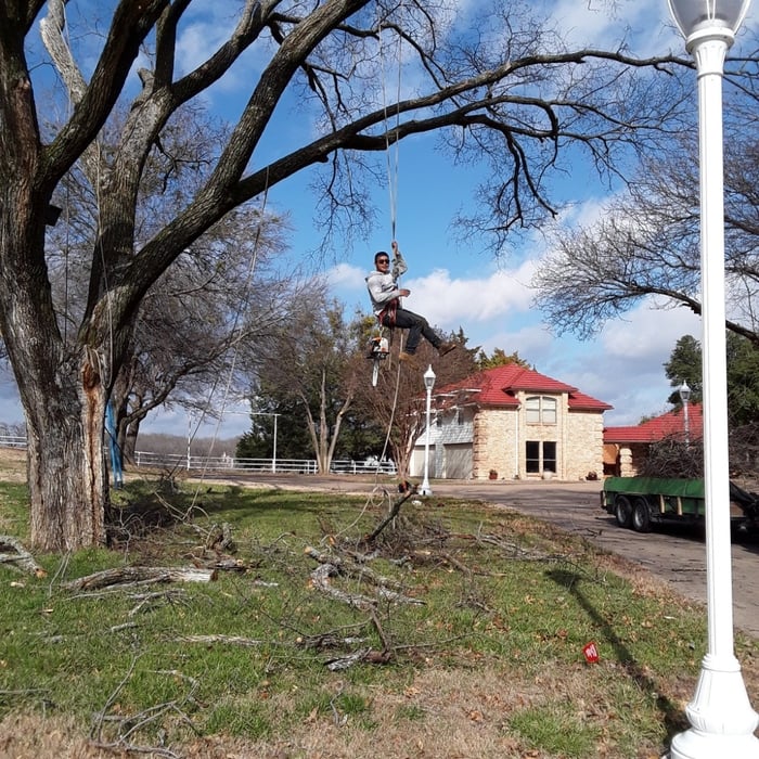 Additional Photos