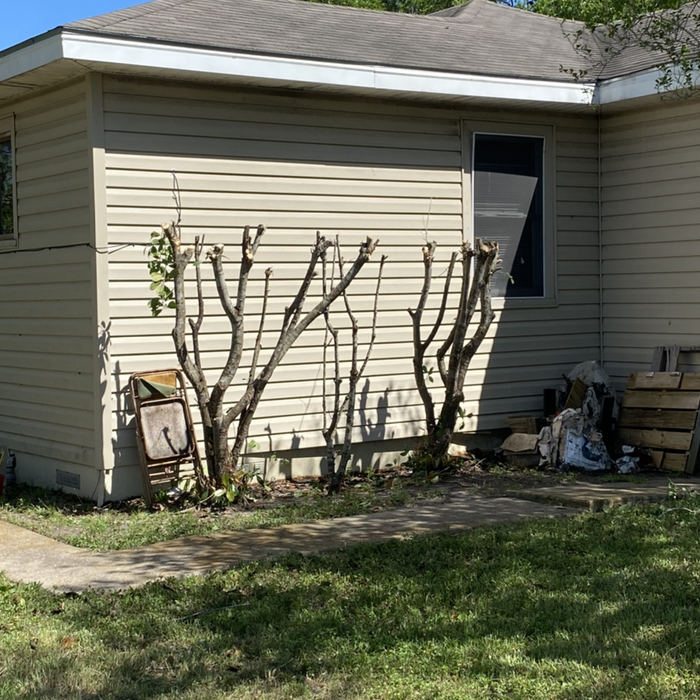 Additional Photos