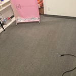 Carpet Cleaning Project