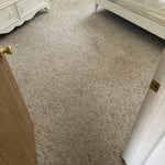 Carpet Cleaning Project