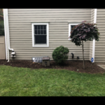 After pictures of the beds cleaned and prepared for much and new plant installation