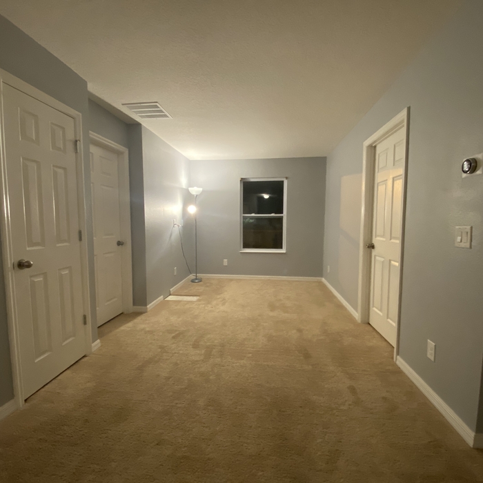 Painting - Interior Project