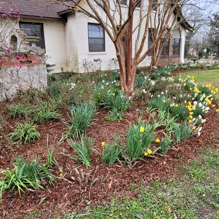 Additional Photos