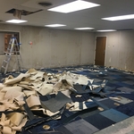 Tear down on wall paper